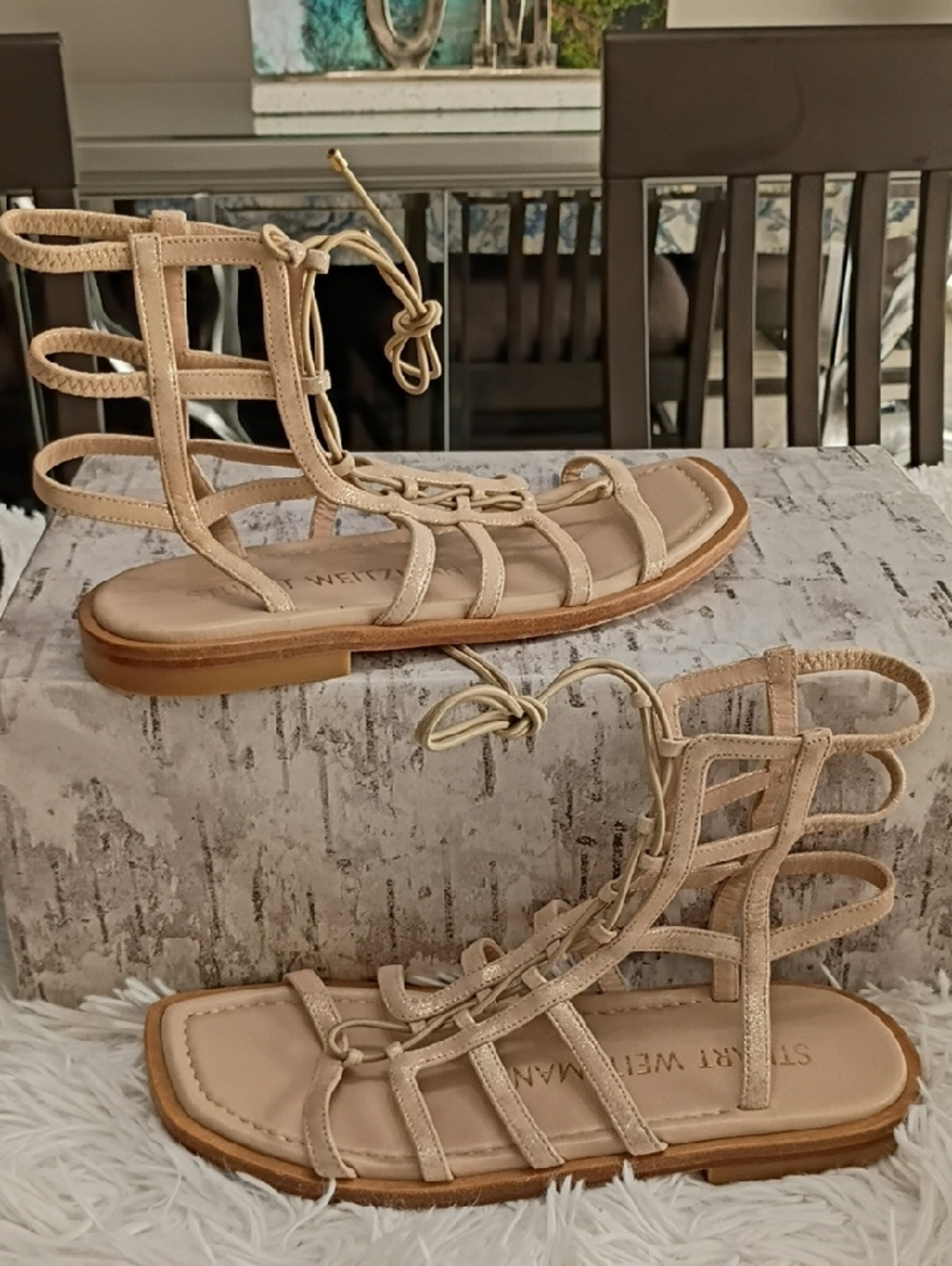 Stuart Weitzman Kora Cage Gladiator Sandals Women's Sz 6 $395